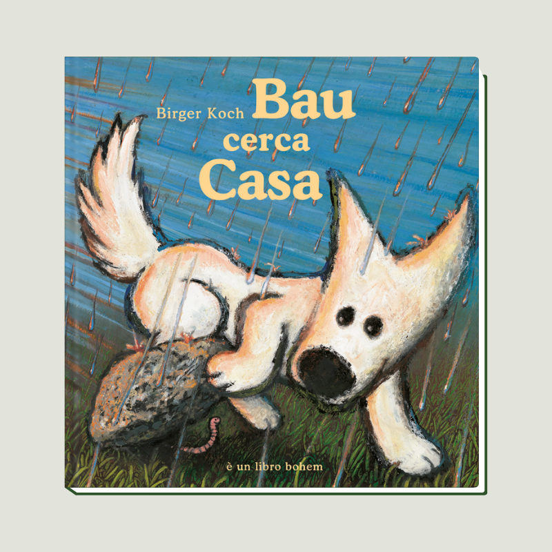 woo baucerca woo baucerca