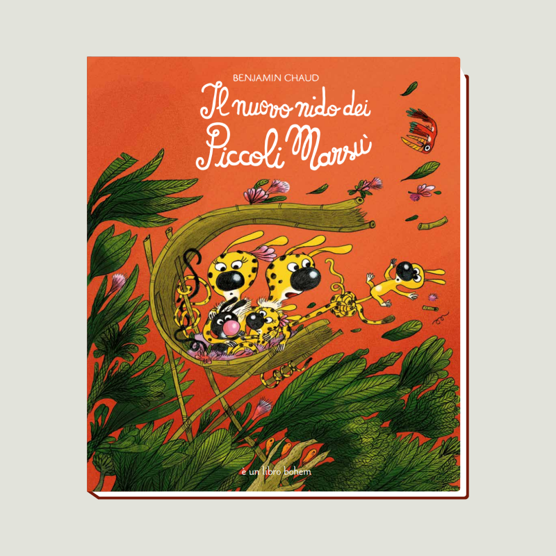 woo marsunido woo marsunido