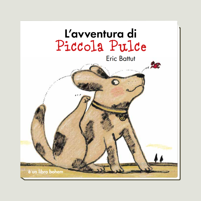 woo piccolapulce woo piccolapulce