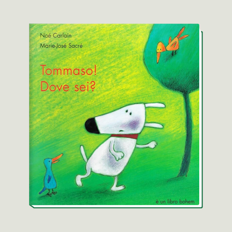 woo tommaso woo tommaso